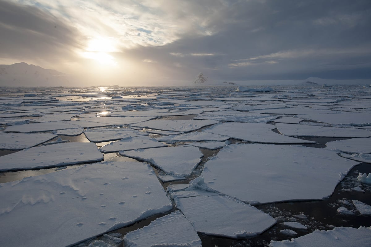 Sea Ice in Antarctica. Photo Credit: Sam Crimmin