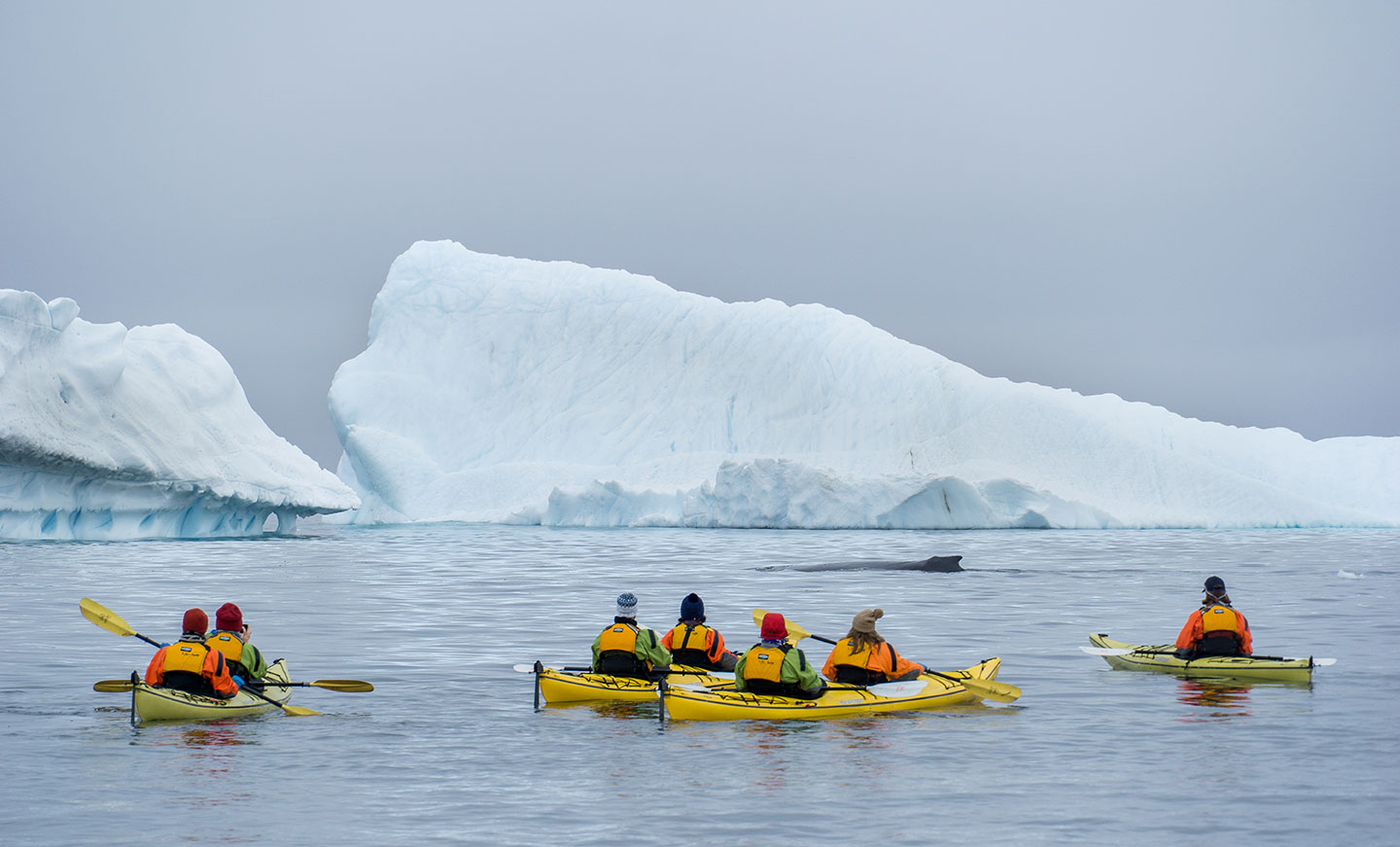 Kayaking and paddling excursions often reward travelers with incredible views of icebergs and whales.